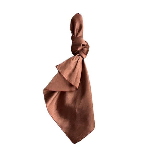 Eleanor Copper Napkin